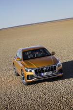 Audi Q8 50 TDI Quattro S-Line 2018 года (WW)